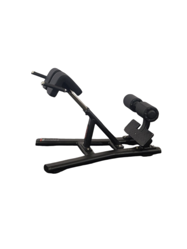 REV Bench | 45 Degree Back Extension